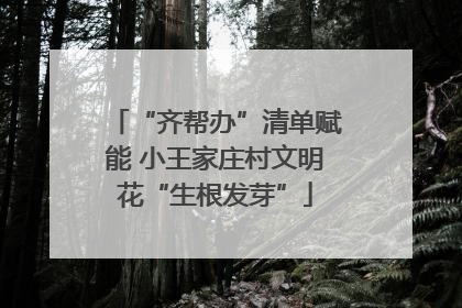 “齐帮办”清单赋能 小王家庄村文明花“生根发芽”