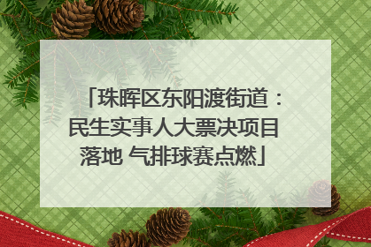 珠晖区东阳渡街道：民生实事人大票决项目落地 气排球赛点燃