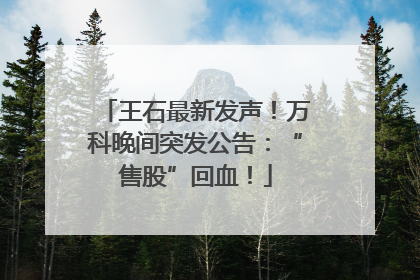 王石最新发声！万科晚间突发公告：“售股”回血！