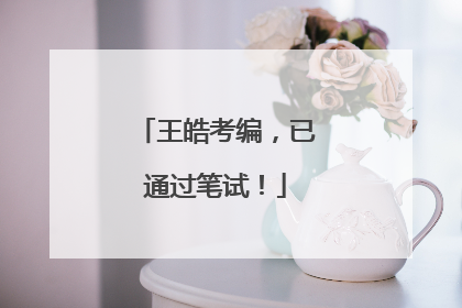 王皓考编，已通过笔试！