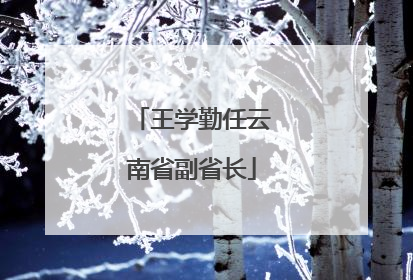 王学勤任云南省副省长