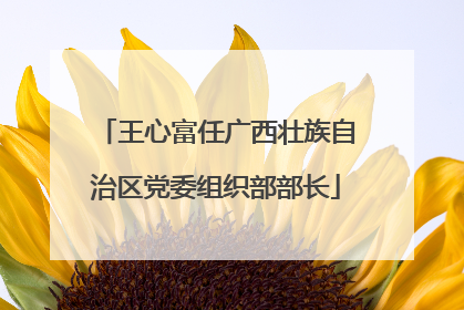 王心富任广西壮族自治区党委组织部部长