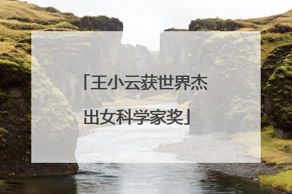 王小云获世界杰出女科学家奖