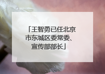 王智勇已任北京市东城区委常委、宣传部部长