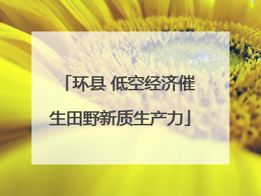 环县 低空经济催生田野新质生产力