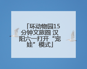 环动物园15分钟文旅圈 汉阳六一打开“宠娃”模式