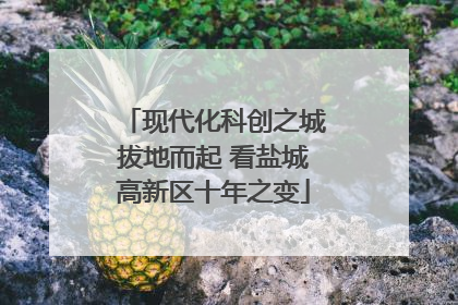 现代化科创之城拔地而起 看盐城高新区十年之变