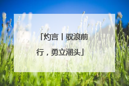 灼言丨驭浪前行，勇立潮头