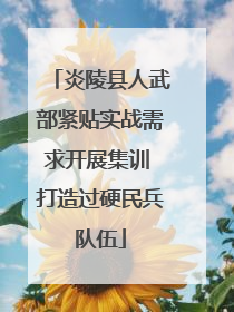 炎陵县人武部紧贴实战需求开展集训 打造过硬民兵队伍