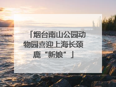 烟台南山公园动物园喜迎上海长颈鹿“新娘”