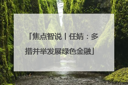 焦点智说丨任婧：多措并举发展绿色金融