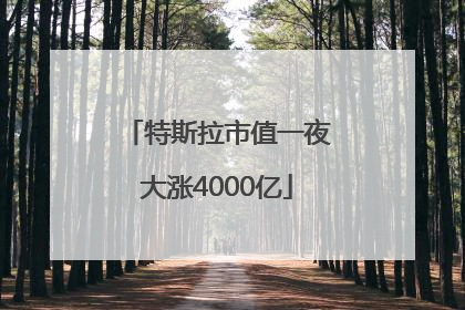特斯拉市值一夜大涨4000亿