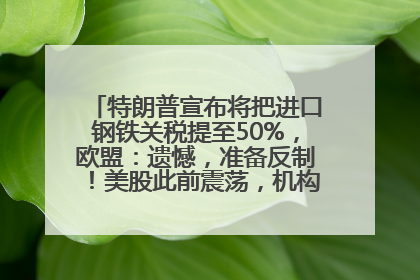 特朗普宣布将把进口钢铁关税提至50%，欧盟：遗憾，准备反制！美股此前震荡，机构：美元正进入熊市