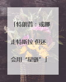 特朗普：或挪走特斯拉 但还会用“星链”