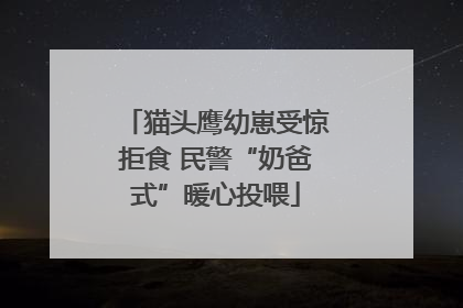 猫头鹰幼崽受惊拒食 民警“奶爸式”暖心投喂