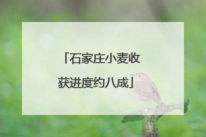 石家庄小麦收获进度约八成