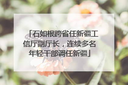 石如根跨省任新疆工信厅副厅长，连续多名年轻干部调任新疆
