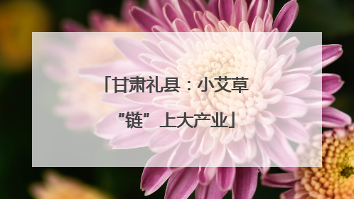甘肃礼县：小艾草“链”上大产业