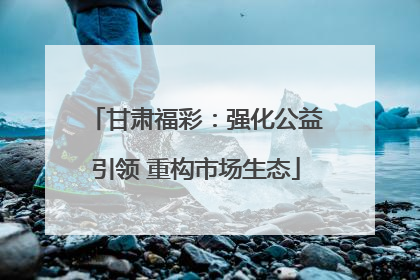 甘肃福彩：强化公益引领 重构市场生态