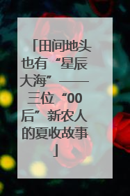 田间地头也有“星辰大海”——三位“00后”新农人的夏收故事
