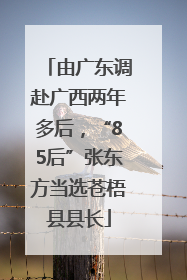 由广东调赴广西两年多后，“85后”张东方当选苍梧县县长