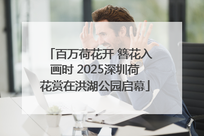 百万荷花开 簪花入画时 2025深圳荷花赏在洪湖公园启幕