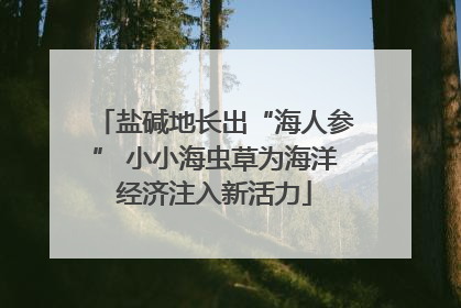 盐碱地长出“海人参” 小小海虫草为海洋经济注入新活力