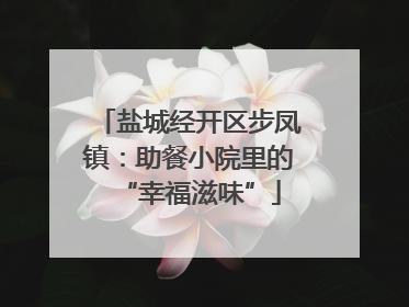 盐城经开区步凤镇：助餐小院里的“幸福滋味”