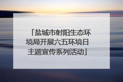 盐城市射阳生态环境局开展六五环境日主题宣传系列活动