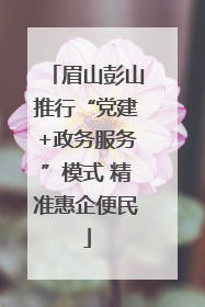眉山彭山推行“党建+政务服务”模式 精准惠企便民