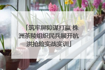 筑牢屏障谋打赢 株洲茶陵组织民兵展开抗洪抢险实战实训