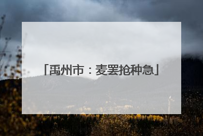 禹州市：麦罢抢种急