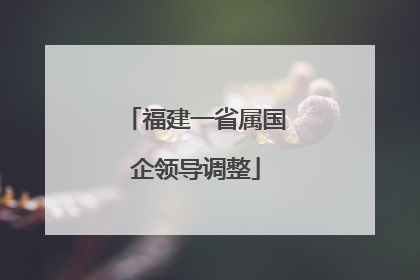 福建一省属国企领导调整