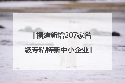 福建新增207家省级专精特新中小企业