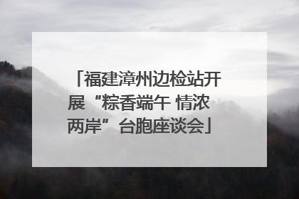 福建漳州边检站开展“粽香端午 情浓两岸”台胞座谈会