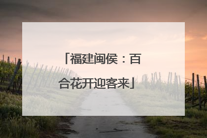 福建闽侯：百合花开迎客来