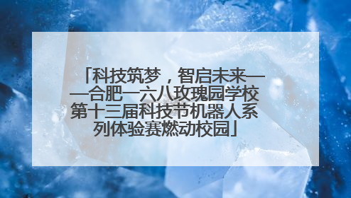 科技筑梦，智启未来——合肥一六八玫瑰园学校第十三届科技节机器人系列体验赛燃动校园