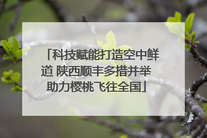 科技赋能打造空中鲜道 陕西顺丰多措并举助力樱桃飞往全国
