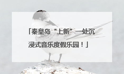 秦皇岛“上新”一处沉浸式音乐度假乐园！