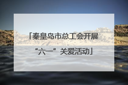 秦皇岛市总工会开展“六一”关爱活动