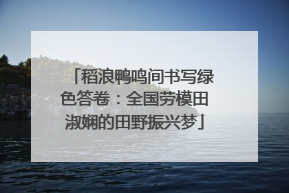 稻浪鸭鸣间书写绿色答卷：全国劳模田淑娴的田野振兴梦