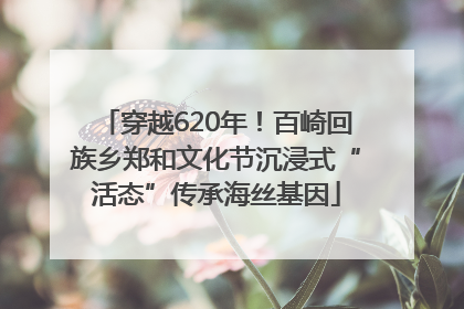 穿越620年！百崎回族乡郑和文化节沉浸式“活态”传承海丝基因