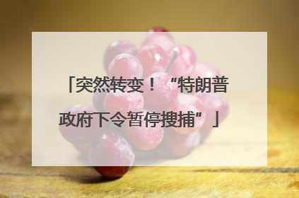 突然转变！“特朗普政府下令暂停搜捕”