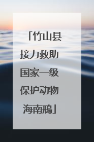 竹山县接力救助国家一级保护动物海南鳽