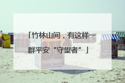 竹林山间，有这样一群平安“守望者”