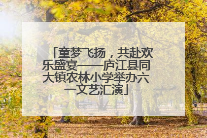 童梦飞扬，共赴欢乐盛宴——庐江县同大镇农林小学举办六一文艺汇演