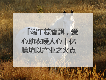 端午粽香飘，爱心助农暖人心｜亿膳坊以产业之火点亮乡村振兴路