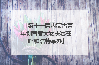 第十一届内蒙古青年创青春大赛决赛在呼和浩特举办