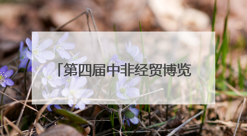 第四届中非经贸博览会丨48个非洲国家、4700多家中非企业和机构将参会