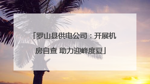 罗山县供电公司：开展机房自查 助力迎峰度夏